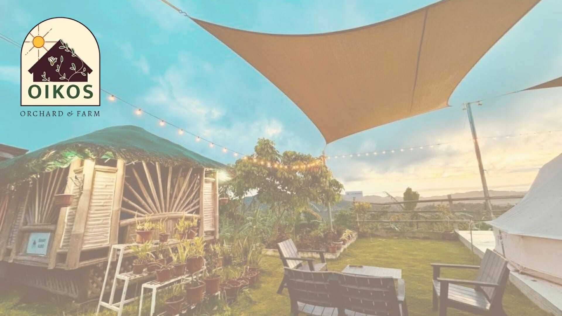 Main farm view