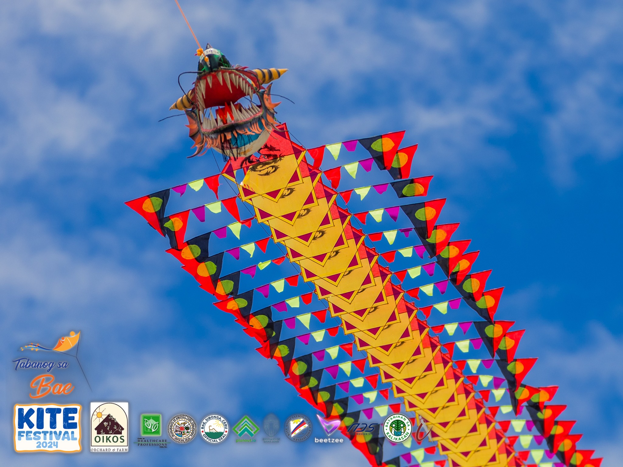 Kite Festival